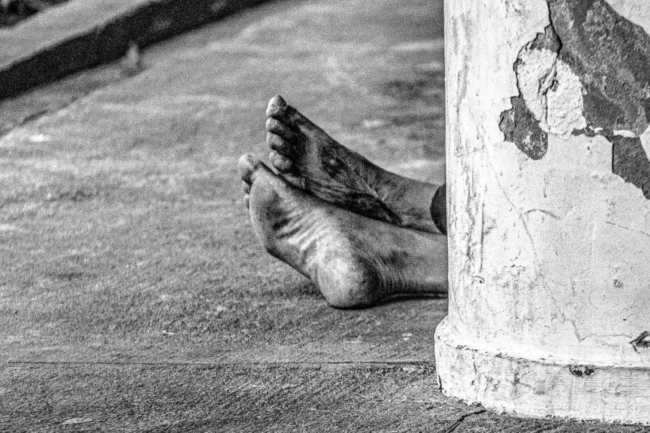 Srgio_Laia_Imagem_Nelson_de_Almeida-1-1024×682