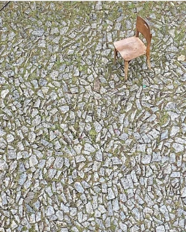 Ana-Menezes-818×1024