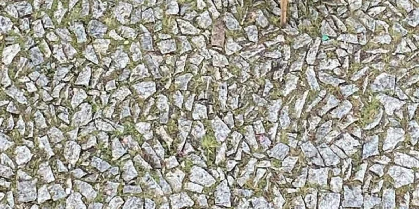 Ana-Menezes-818×1024