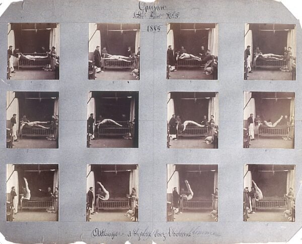 O único e o específico na experiência analítica