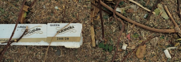 Corpos e discursos: as respostas das crianças