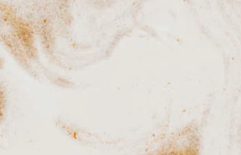 Renascer para a linguagem: de um exílio a outro<sup>1</sup>