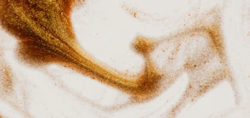 Corpos, palavras e restos