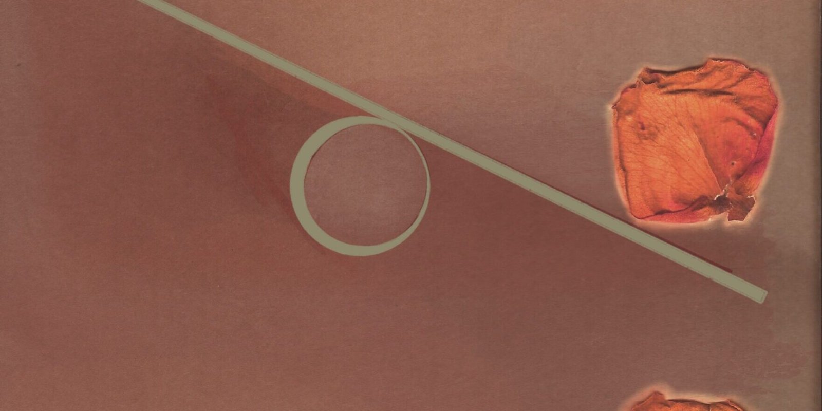 Ilustração-Sem-Título 5