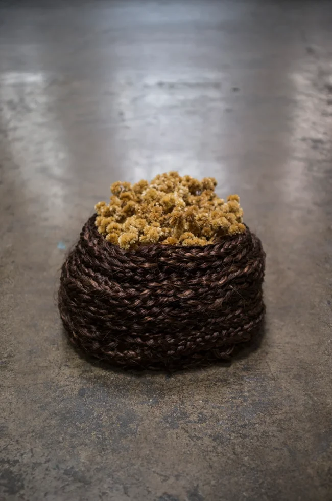 81_-_Foto_para_texto_Jeaninne_-_Coletoras_-_Barbara_Schall (1)