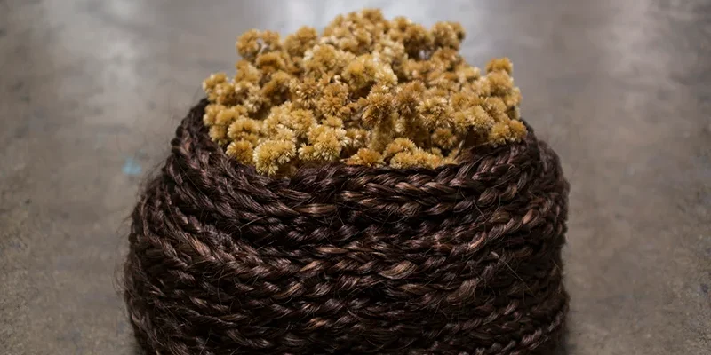 81_-_Foto_para_texto_Jeaninne_-_Coletoras_-_Barbara_Schall (1)