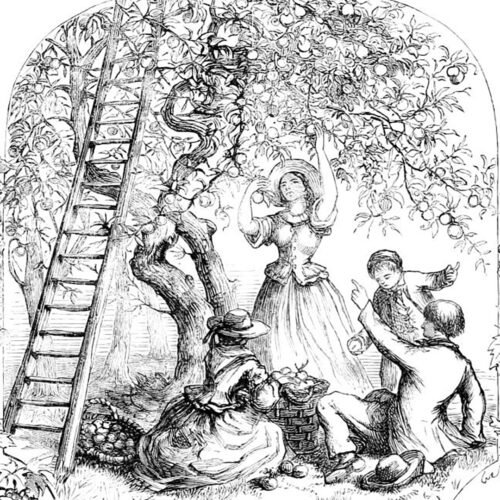 000 - CRIANCA 1 SEMETRE 000 - CRIANCA 1 SEMETRE